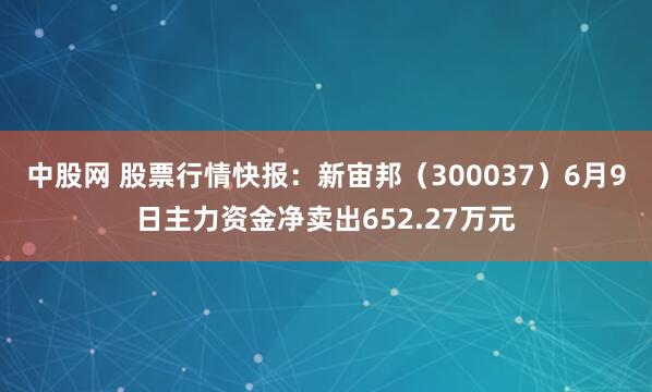 中股网 股票行情快报：新宙邦（300037）6月9日主力资金净卖出652.27万元