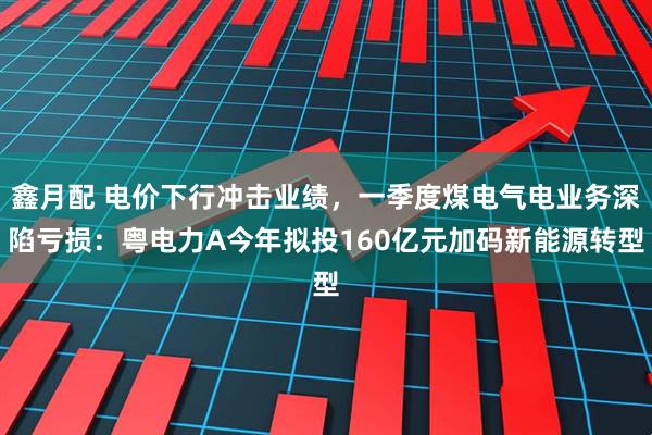 鑫月配 电价下行冲击业绩，一季度煤电气电业务深陷亏损：粤电力A今年拟投160亿元加码新能源转型