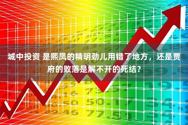 城中投资 是熙凤的精明劲儿用错了地方，还是贾府的败落是解不开的死结？