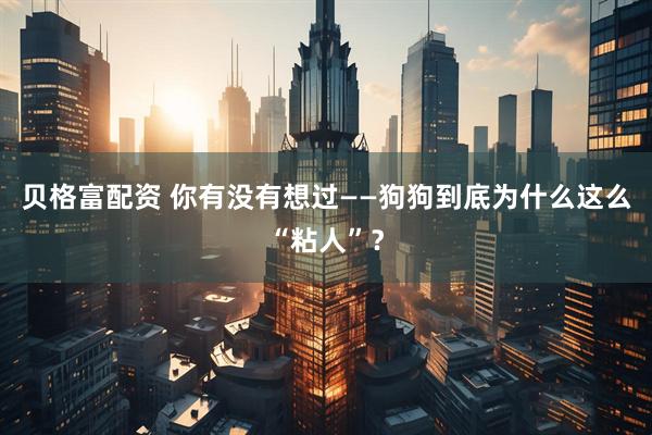 贝格富配资 你有没有想过——狗狗到底为什么这么“粘人”？