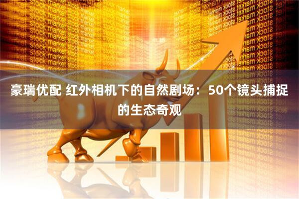 豪瑞优配 红外相机下的自然剧场：50个镜头捕捉的生态奇观