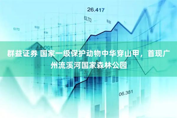 群益证券 国家一级保护动物中华穿山甲，首现广州流溪河国家森林公园