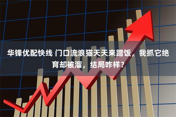 华锋优配快线 门口流浪猫天天来蹭饭，我抓它绝育却被溜，结局咋样？