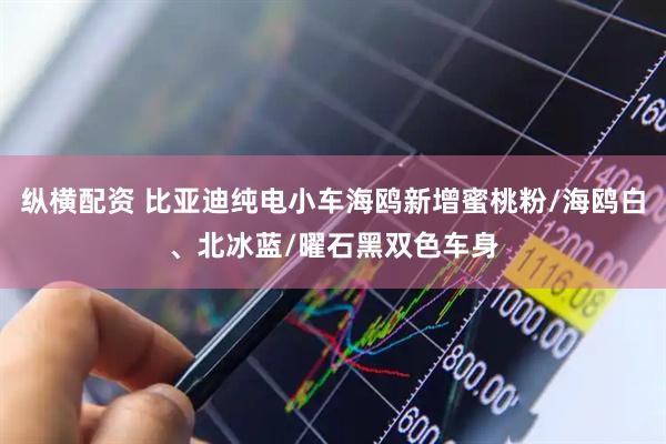 纵横配资 比亚迪纯电小车海鸥新增蜜桃粉/海鸥白、北冰蓝/曜石黑双色车身