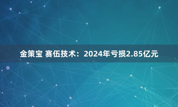 金策宝 赛伍技术：2024年亏损2.85亿元