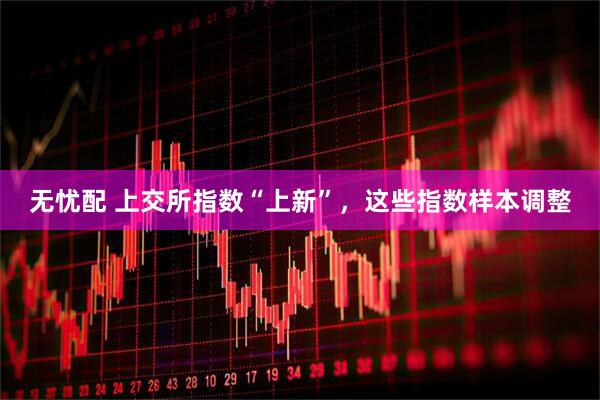 无忧配 上交所指数“上新”，这些指数样本调整