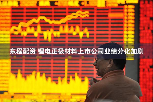 东程配资 锂电正极材料上市公司业绩分化加剧